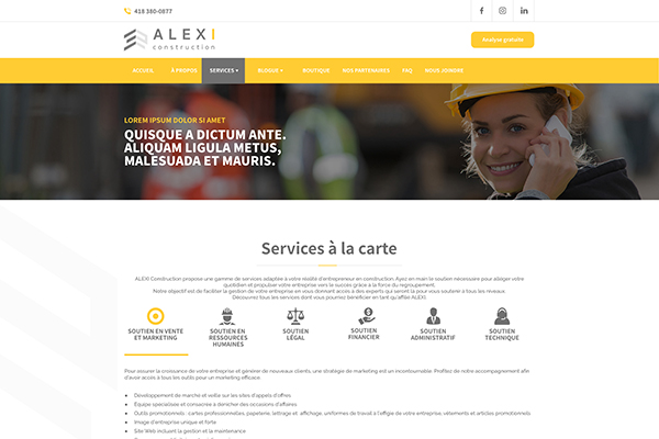 alexi-construction-nos-services-600x400